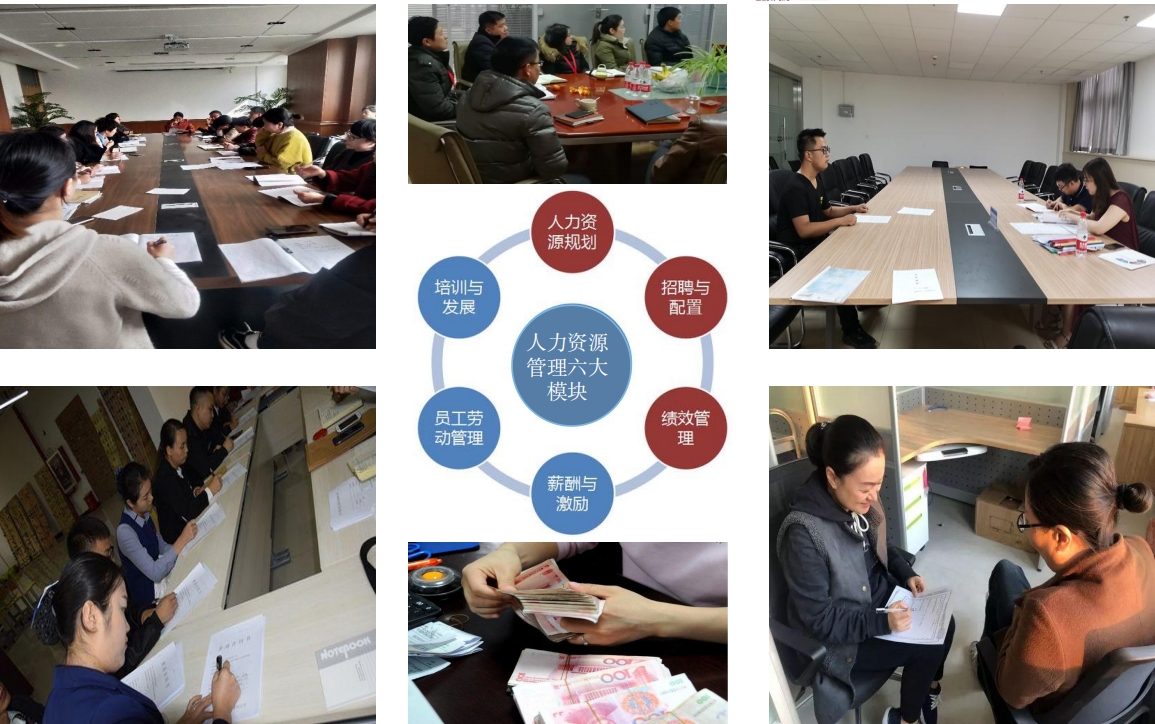 ⑦ 人力資源部.png